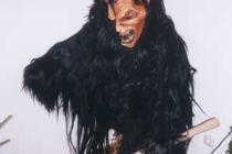 Koasapass 2000 4